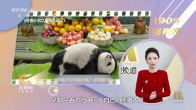 久久香蕉国产观看猫咪3atv